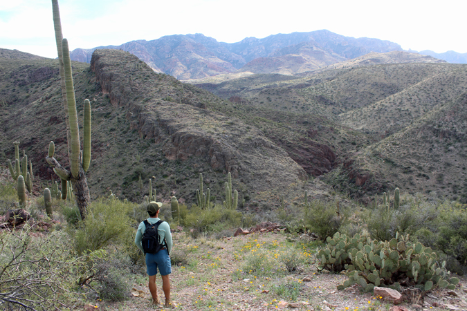 Kielberg Canyon And The Stone Cabin Spring Ruinstwo Trips To The