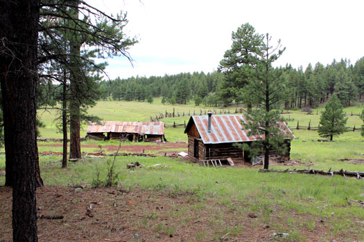 A Road Trip To An Old Homestead