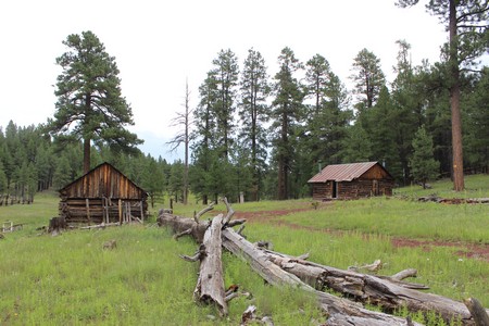 A Road Trip To An Old Homestead